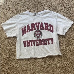 Harvard University Crop top t-shirt